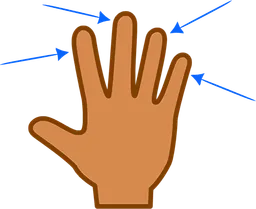 fingers.webp